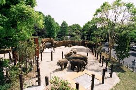 上野動物園ゾウ舎建築工事(JV)