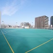校庭②